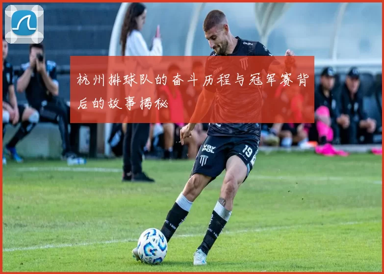 杭州排球队的奋斗历程与冠军赛背后的故事揭秘