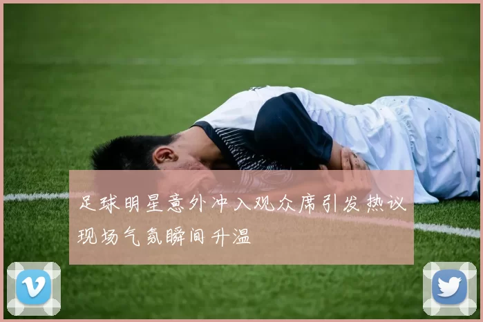 足球明星意外冲入观众席引发热议现场气氛瞬间升温