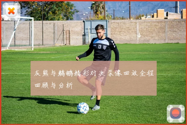 灰熊与鹈鹕精彩对决录像回放全程回顾与分析