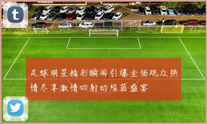 足球明星精彩瞬间引爆全场观众热情尽享激情四射的绿茵盛宴