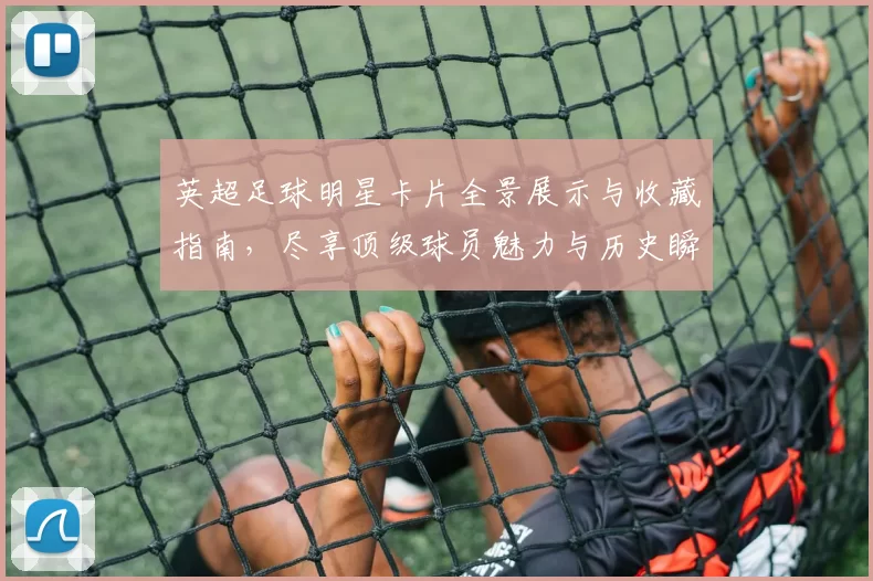 英超足球明星卡片全景展示与收藏指南，尽享顶级球员魅力与历史瞬间