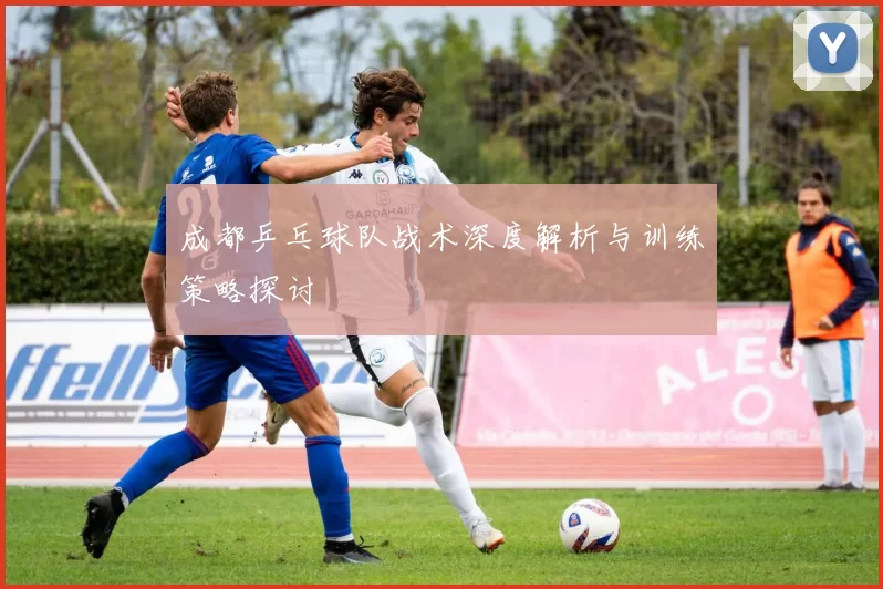 成都乒乓球队战术深度解析与训练策略探讨