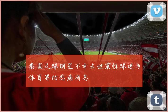 泰国足球明星不幸去世震惊球迷与体育界的悲痛消息