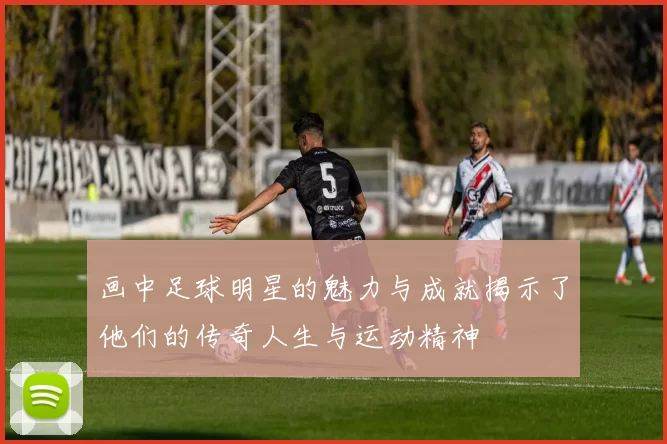 画中足球明星的魅力与成就揭示了他们的传奇人生与运动精神