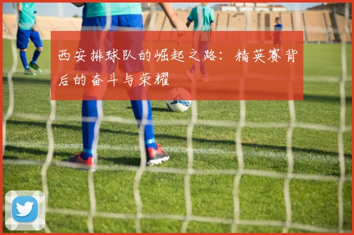 西安排球队的崛起之路：精英赛背后的奋斗与荣耀