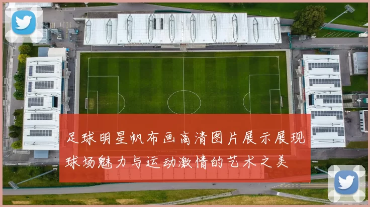 足球明星帆布画高清图片展示展现球场魅力与运动激情的艺术之美
